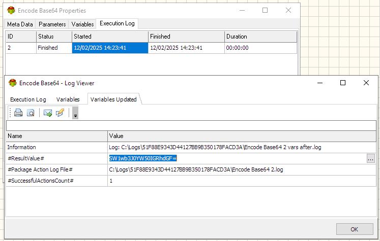 Encode BASE 64 Action - Execution log tab