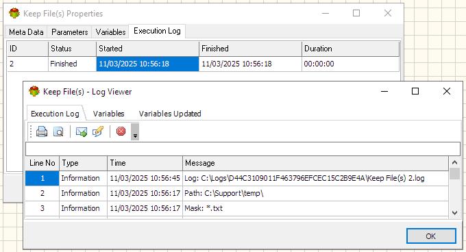 Keep File Action - Execution log tab