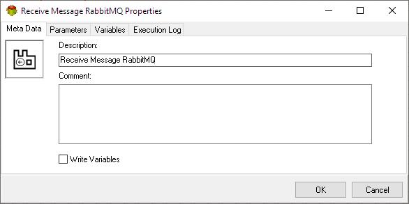 Receive RabbitMQ Message Action - Metadata tab