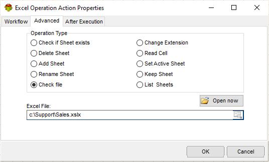 Check Excel File