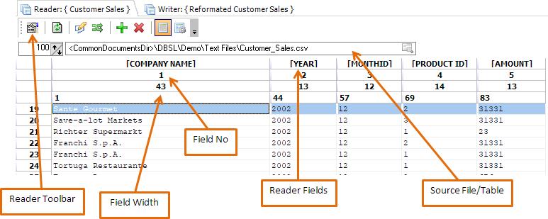 Data View