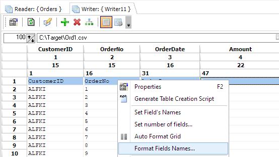 Reformating field names