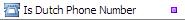 Is Dutch Phone Number Validation Function