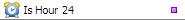 Is Hour 24 Validation Function