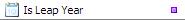 Checks if the data is a Date value which belongs to the leap year