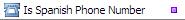 Is Spanish Phone Number Validation Function