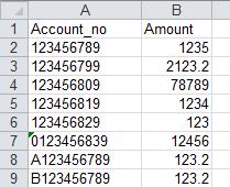Excel File
